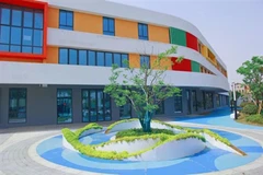 Ekološki prihvatljive i funkcionalne prednosti GREEFIELD ® pigmenta željeznog...